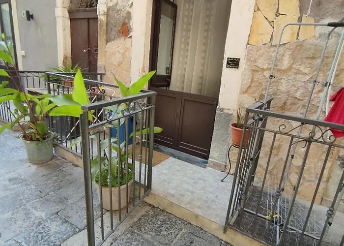 Home&sharm Reitani Катания